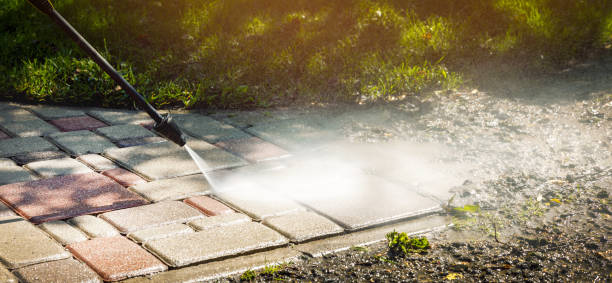 Best Oil Spill Cleanup  in La Porte, TX